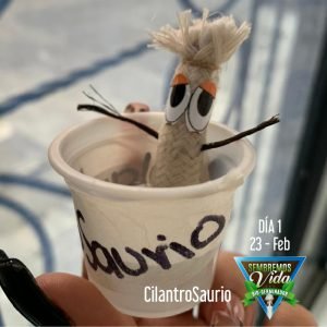 CilantroSaurio - día 1