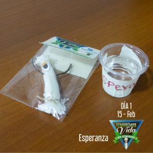 Esperanza - día 1 - 15 Feb