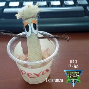 Esperanza - día 3 - 17 Feb