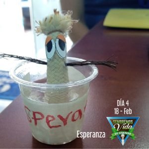 Esperanza - día 4 - 18 Feb