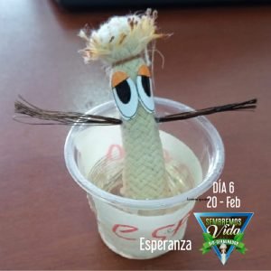 Esperanza - día 6