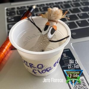Jero Florece - día 13