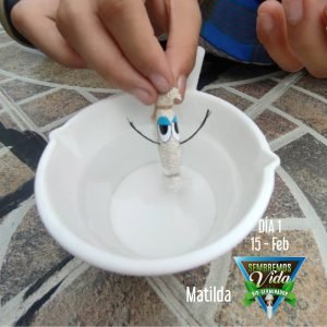 Matilda- día 1 - 15 Feb