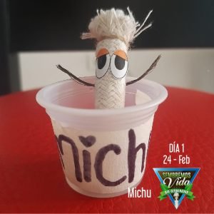 Michu - día 1