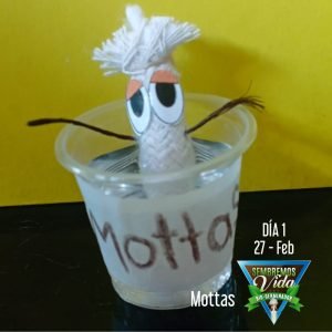 Mottas - día 1