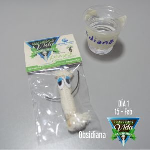 Obsidiana - día 1 - 15 Feb