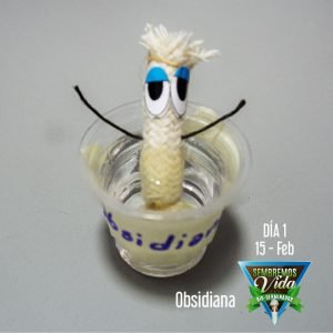 Obsidiana - día 1 - 15 Feb