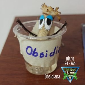 Obsidiana - día 10