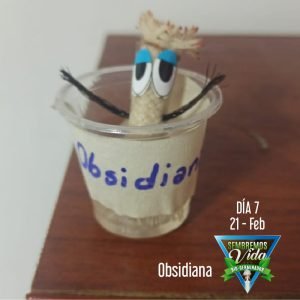 Obsidiana - día 7