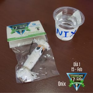 Onix - día 1 - 15 Feb