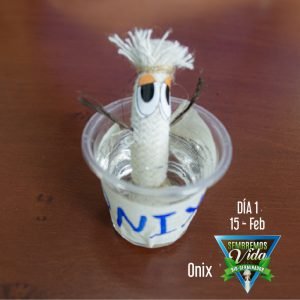 Onix - día 1 - 15 Feb