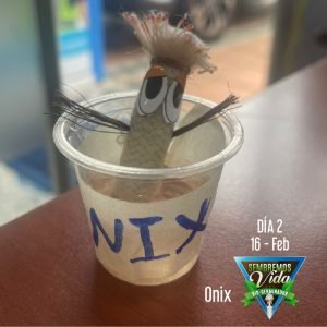 Onix - día 2 - 16 Feb