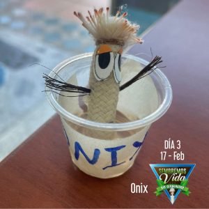 Onix - día 3 - 17 Feb