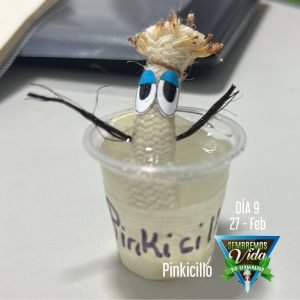 Pinkicillo - día 9