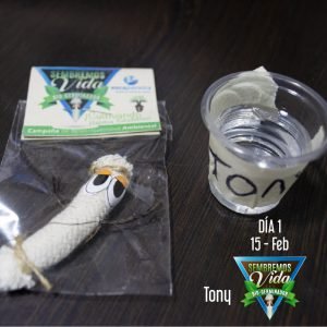 Tony - día 1 - 15 Feb