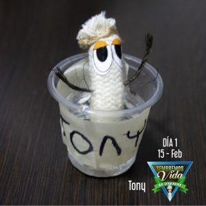 Tony - día 1 - 15 Feb