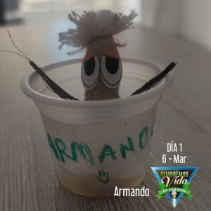 Armando - día 1