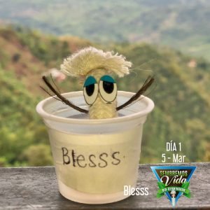 Blesss - día 1