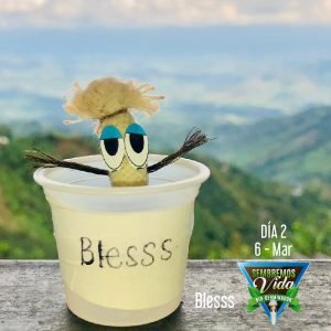 Blesss - día 2