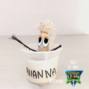 Briianna - dia 1a