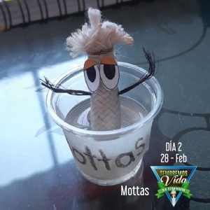 Mottas - día 2