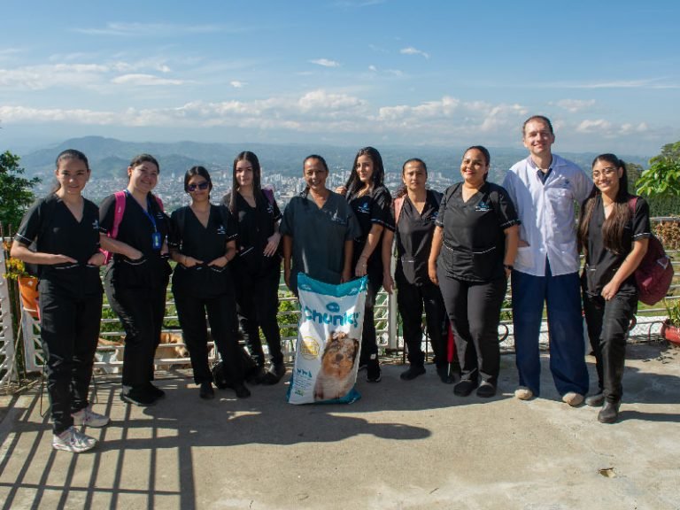 Escapereira Técnicos Laborales Área de la Salud Técnico Auxiliar en Clínica Veterinaria