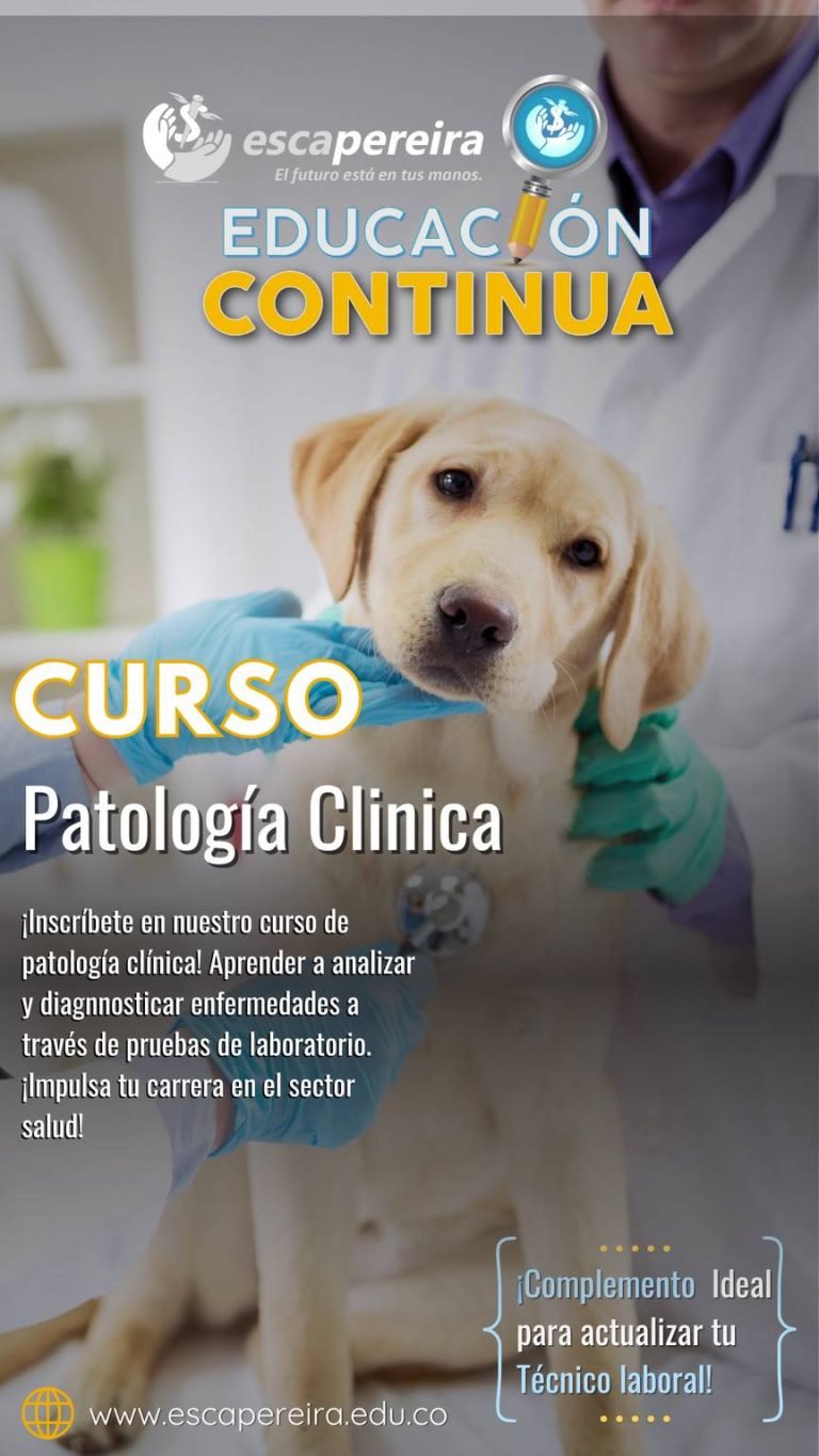 esca curso 9
